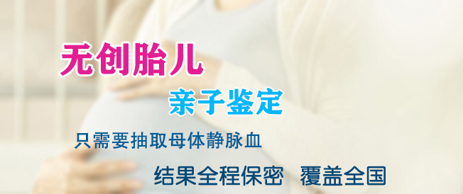 泰州怀孕四周能办理怀孕亲子鉴定吗,