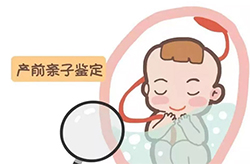 泰州产前亲子鉴定条件和流程，泰州专业的怀孕亲子鉴定机构地址在哪