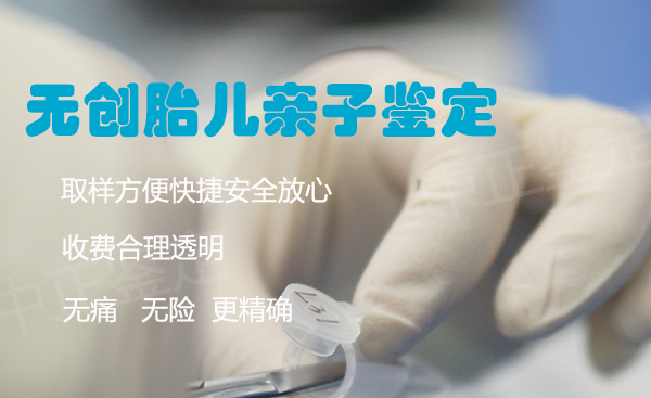 泰州肚子里胎儿与父亲要如何办理DNA亲子鉴定,泰州无创孕期亲子鉴定怎么收费
