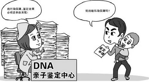 泰州上户口亲子鉴定准不准确,